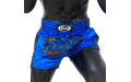 Шорты для бокса Fairtex BS1702 (синий) M Шорты для бокса Fairtex BS1702 (синий) M