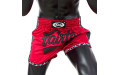Шорты для бокса Fairtex BS1703 (красный-черный) L Шорты для бокса Fairtex BS1703 (красный-черный) L