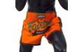 Шорты для бокса Fairtex BS1705 (оранжевый) M Шорты для бокса Fairtex BS1705 (оранжевый) M