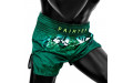Шорты для бокса Fairtex BS1913 M